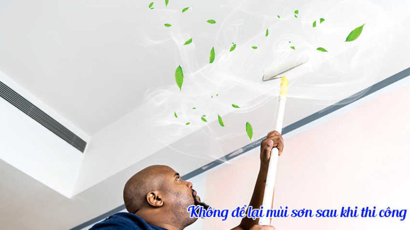 Alice INT không để lại mùi sau khi thi công | Minano