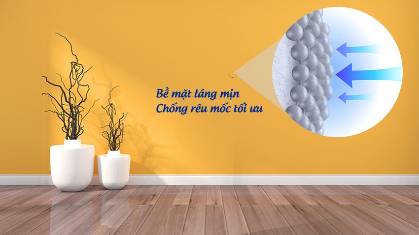 Đặc tính chống rêu mốc của sơn STERLING INT