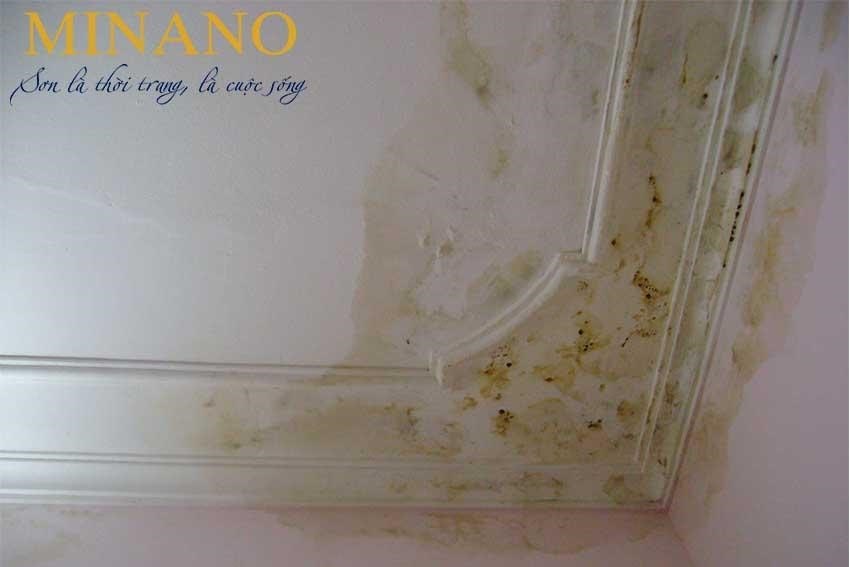 Bể nước bị thấm gây rất mất thẩm mỹ