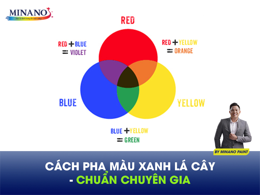 Cách pha màu xanh từ các màu cơ bản được chuyên gia sơn nội thất khuyên dùng
