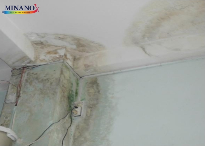 Tường bị thấm nguyên nhân do đâu